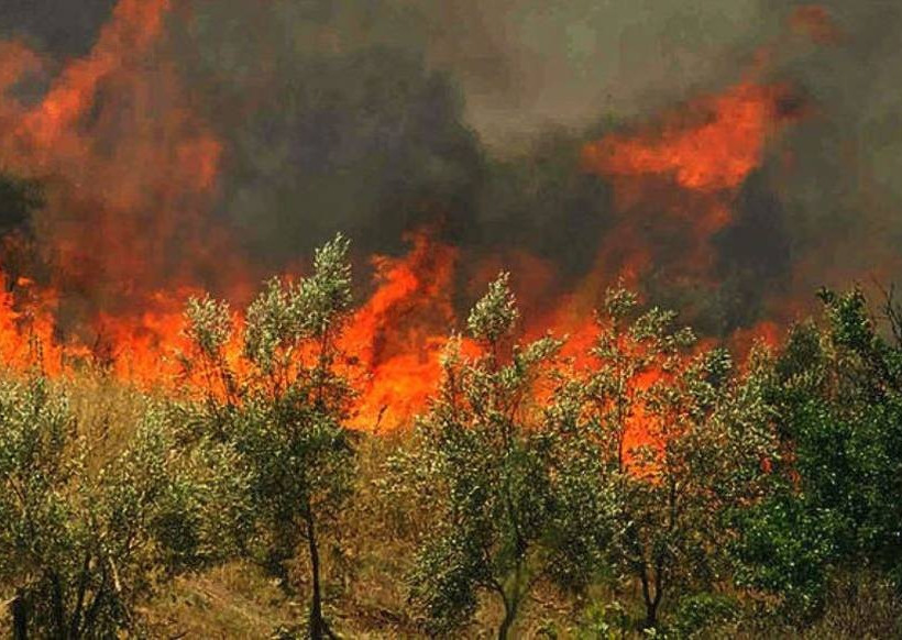Φωτιά: Μεγάλη πυρκαγιά στα Χανιά
