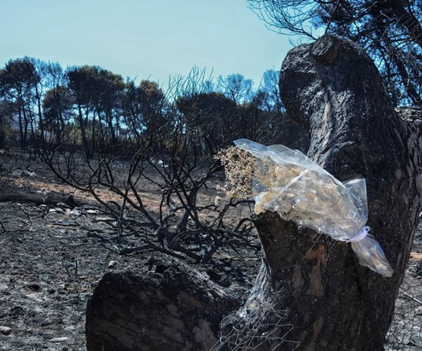 Τραγωδία δίχως τέλος στο Μάτι: Στους 98 οι νεκροί από τη φονική πυρκαγιά