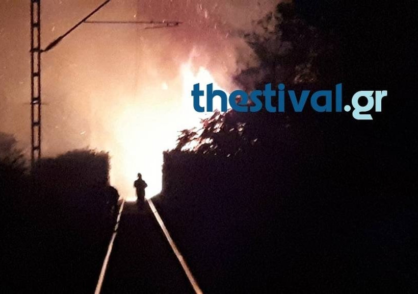 Φωτιά στο Δενδροπόταμο Θεσσαλονίκης (pics&vid)