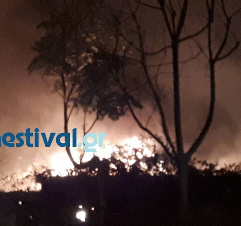 Φωτιά στο Δενδροπόταμο Θεσσαλονίκης (pics&vid)