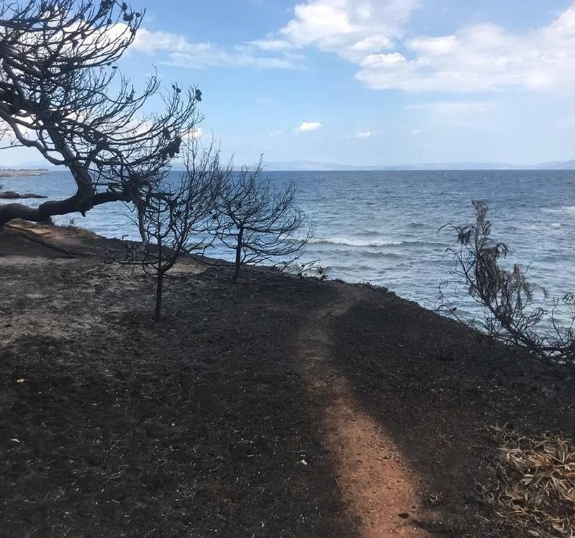 Υπουργείο Εργασίας: Νέα καταβολή έκτακτης οικονομικής ενίσχυσης σε πυρόπληκτους συνταξιούχους