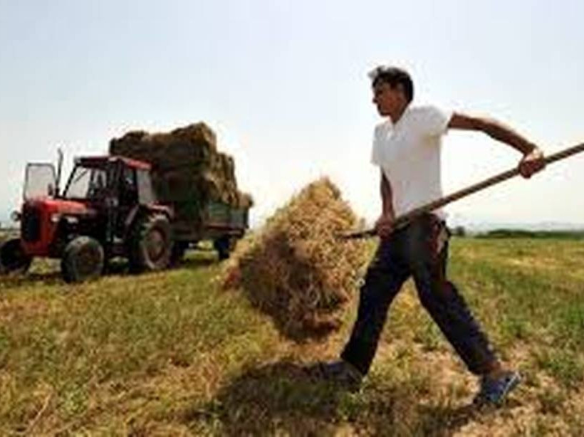 ΟΠΕΚΕΠΕ: Δείτε πότε θα πληρωθεί το 70% για τις αγροτικές επιδοτήσεις 2018 