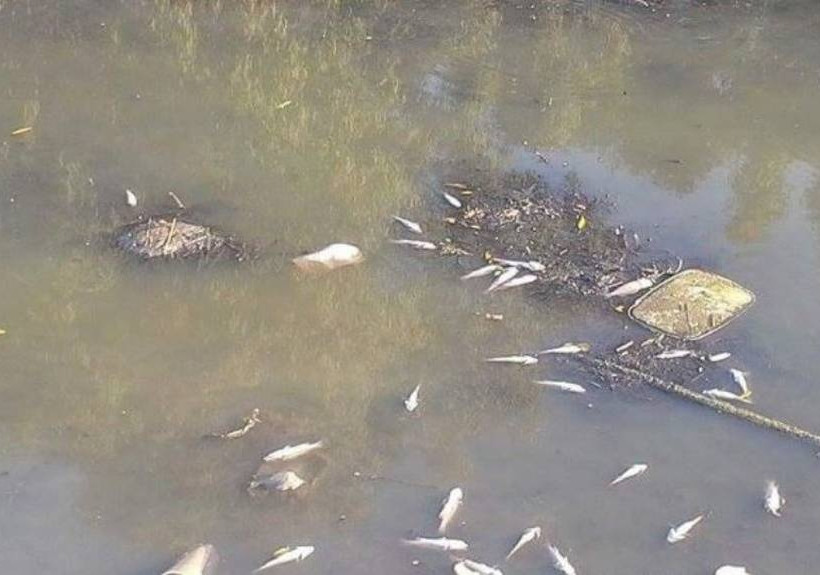 Κέρκυρα: Έπαθαν ΣΟΚ αντικρίζοντας αυτές τις απόκοσμες εικόνες στο ποτάμι (pics)