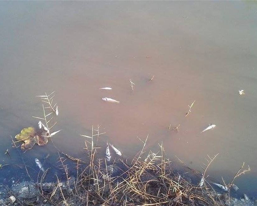 Κέρκυρα: Έπαθαν ΣΟΚ αντικρίζοντας αυτές τις απόκοσμες εικόνες στο ποτάμι (pics)