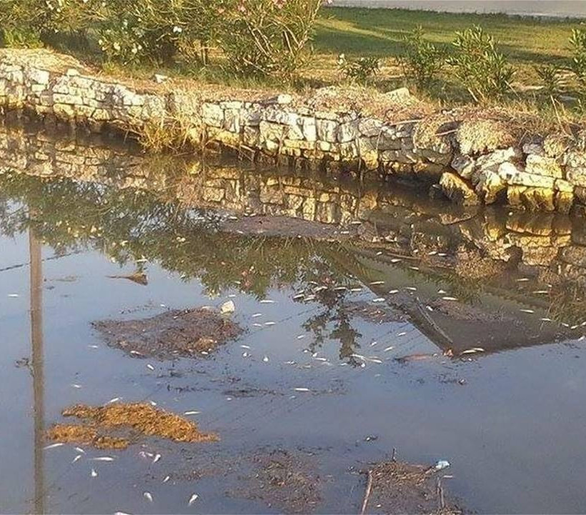 Κέρκυρα: Έπαθαν ΣΟΚ αντικρίζοντας αυτές τις απόκοσμες εικόνες στο ποτάμι (pics)