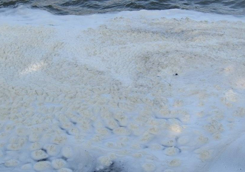 Ιωάννινα: Πήγαν στην λίμνη και αντίκρισαν αυτές τις εικόνες (pics)