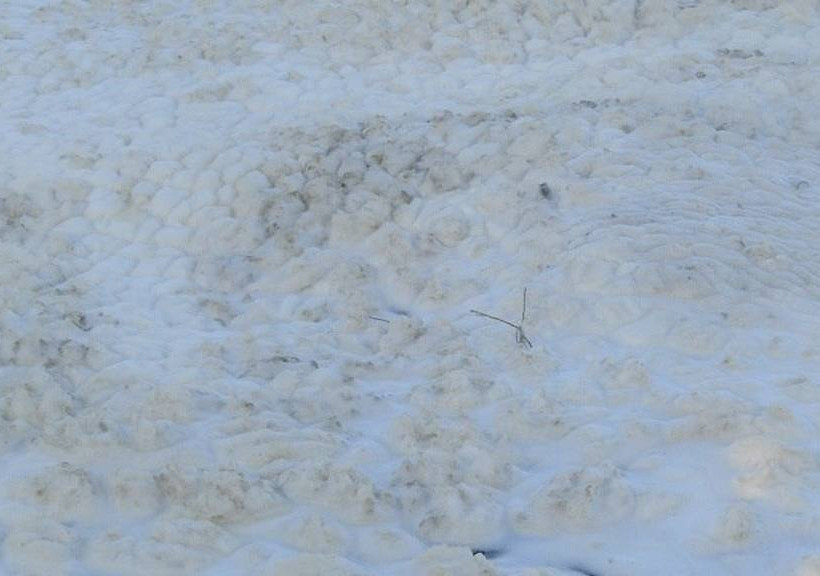 Ιωάννινα: Πήγαν στην λίμνη και αντίκρισαν αυτές τις εικόνες (pics)