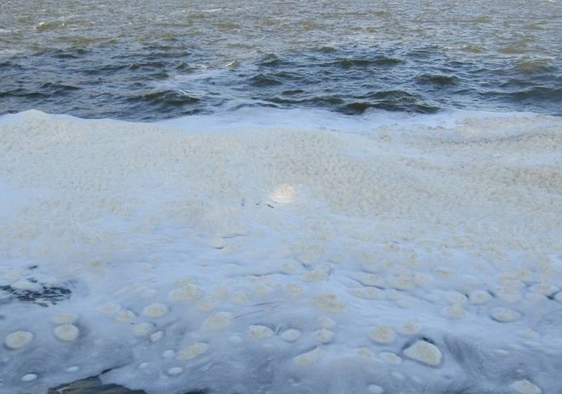 Ιωάννινα: Πήγαν στην λίμνη και αντίκρισαν αυτές τις εικόνες (pics)