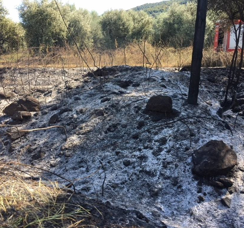 Φωτιά Τώρα στο Αγρίνιο: Οι εστίες επεκτείνονται σε πολλά χιλιόμετρα 