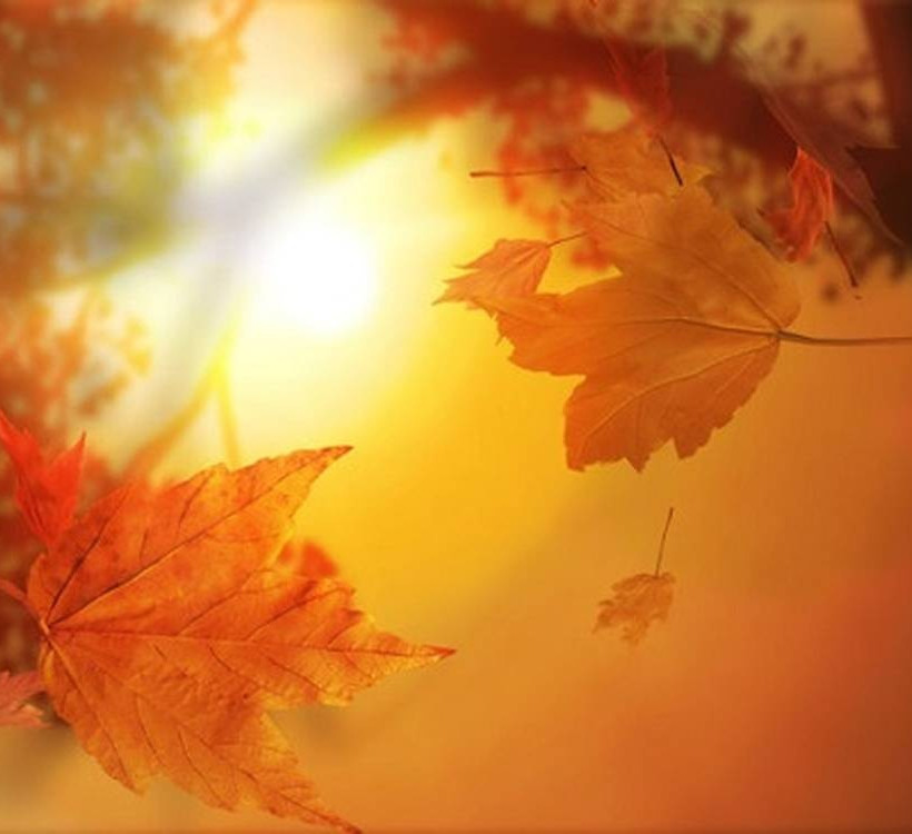 Το Doodle της Google αφιερωμένο στην φθινοπωρινή ισημερία 