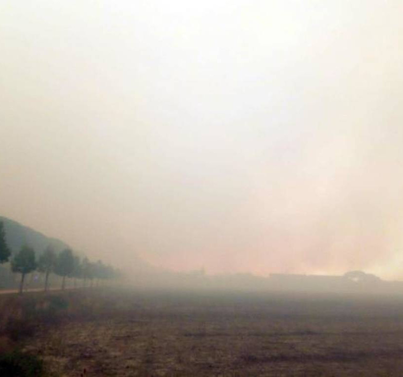 Φωτιά: Πύρινη κόλαση στην Τοσκάνη – Τεράστια επιχείρηση εκκένωσης (Pics)