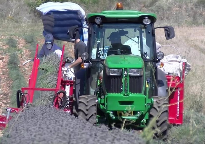 Ο καλύτερος νέος Ελληνας αγρότης για το 2018 μοιράζεται τα «μυστικά» της επιτυχίας του