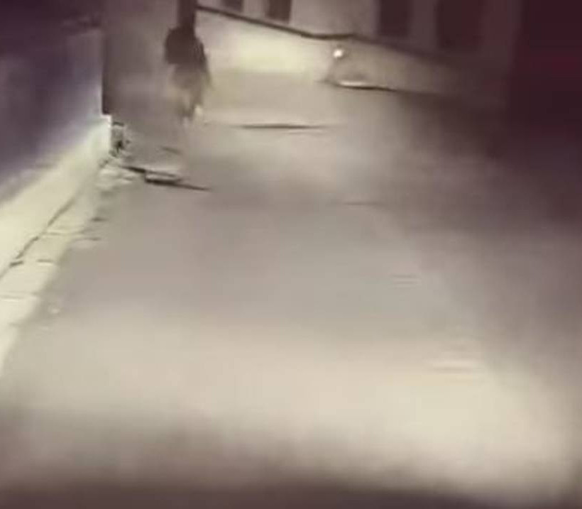 Μέτσοβο: Έπαθε σοκ όταν άναψε τα φώτα του αυτοκινήτου – Απίστευτο αυτό που είδε (pics-vid)