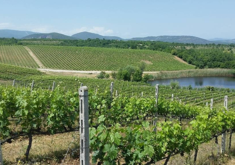 Οινοτουρισμός στη Δυτική Μακεδονία