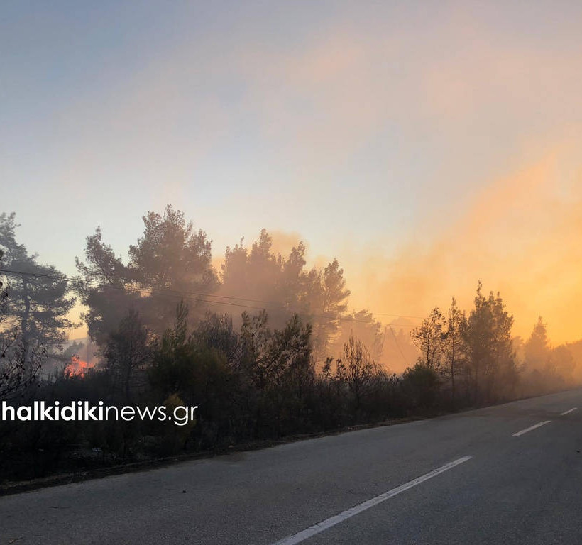 Fire broke out in Sithonia, northern Greece (pics)