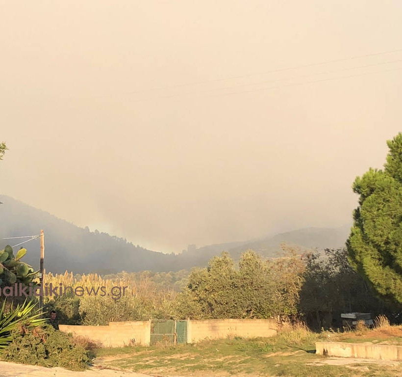 Fire broke out in Sithonia, northern Greece (pics)