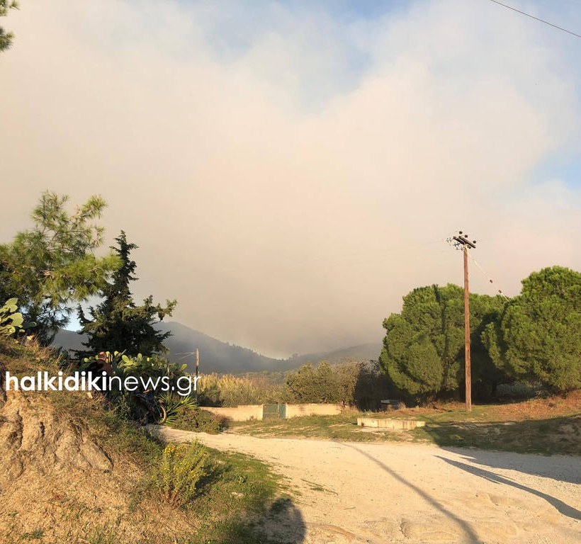Fire broke out in Sithonia, northern Greece (pics)