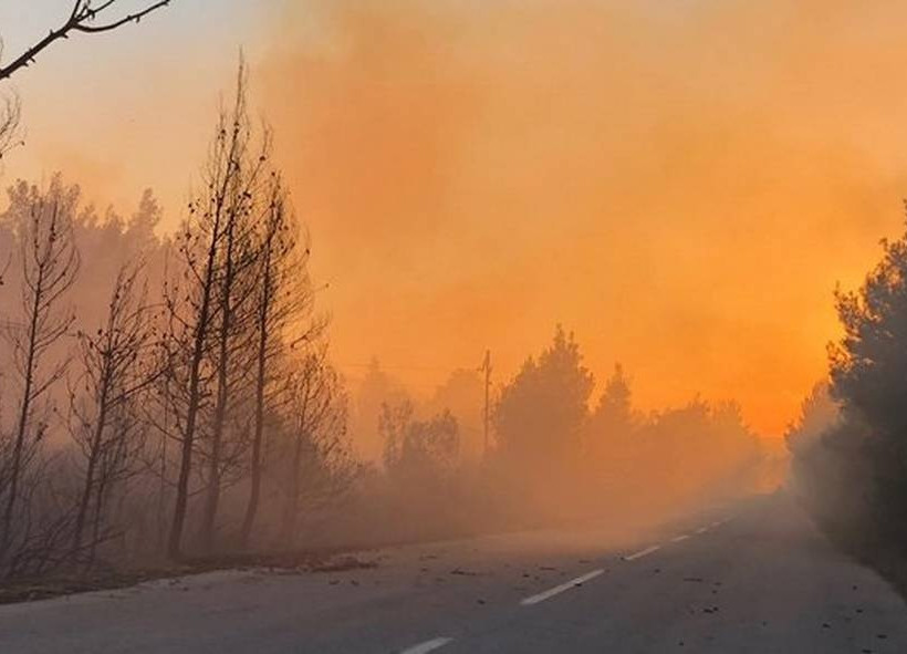 Fire broke out in Sithonia, northern Greece (pics)