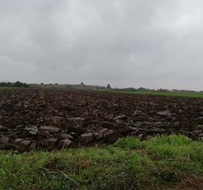  ΑΑΔΕ: Μείωση φόρων σε αγρότες με κέρδη έως 10.000 ευρώ 