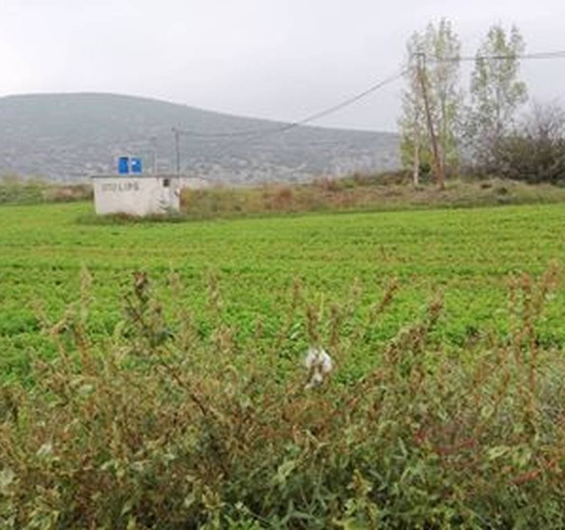  ΑΑΔΕ: Μείωση φόρων σε αγρότες με κέρδη έως 10.000 ευρώ 