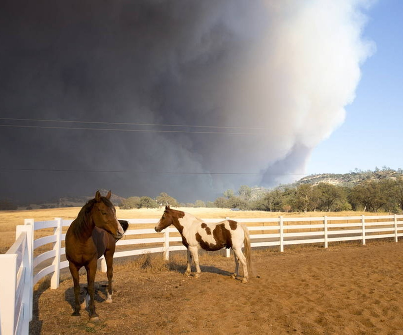 Πύρινη κόλαση στην Καλιφόρνια - Φόβοι για νεκρούς (pics&vids)
