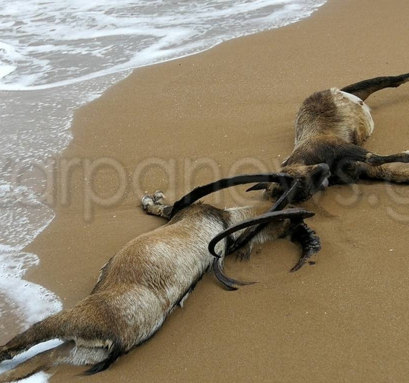 Χανιά: Οι εικόνες που δεν θα ξεχάσει ποτέ κανείς – Έμειναν με το στόμα ανοιχτό (pics)