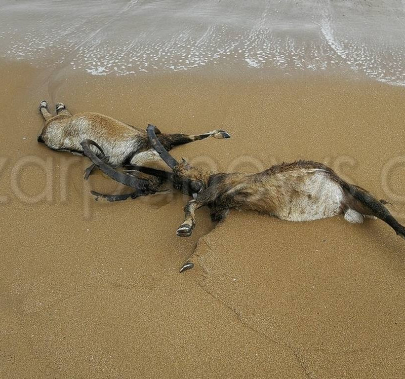 Χανιά: Οι εικόνες που δεν θα ξεχάσει ποτέ κανείς – Έμειναν με το στόμα ανοιχτό (pics)