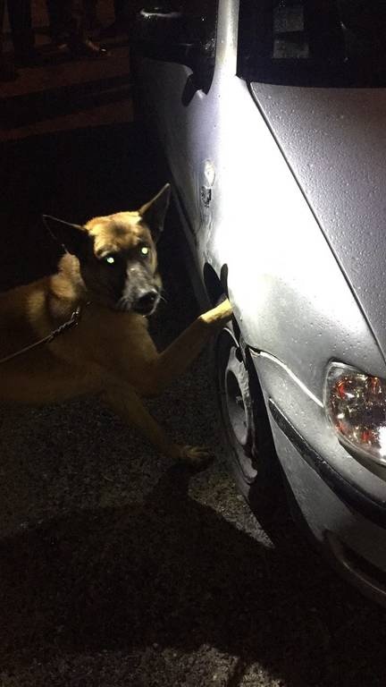 Ιωάννινα: Άνοιξαν το καπό του αυτοκινήτου και έπαθαν σοκ - Οι εικόνες που τον «έκαψαν»