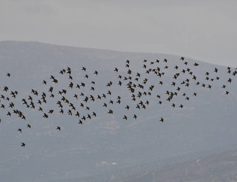 Το μαγευτικό συννεφιασμένο Ναύπλιο 