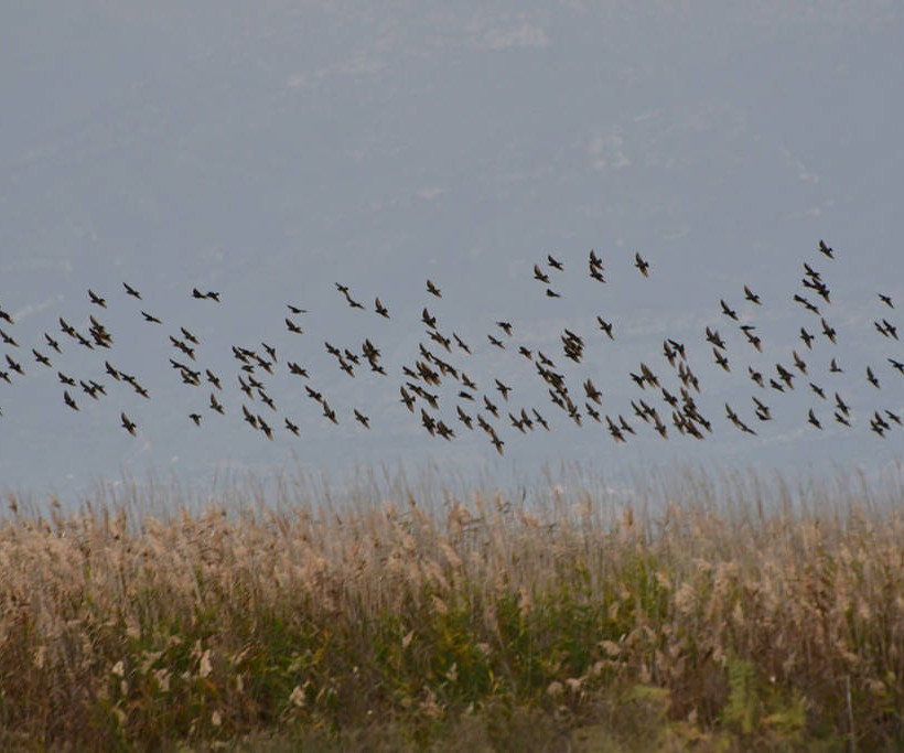 Το μαγευτικό συννεφιασμένο Ναύπλιο 