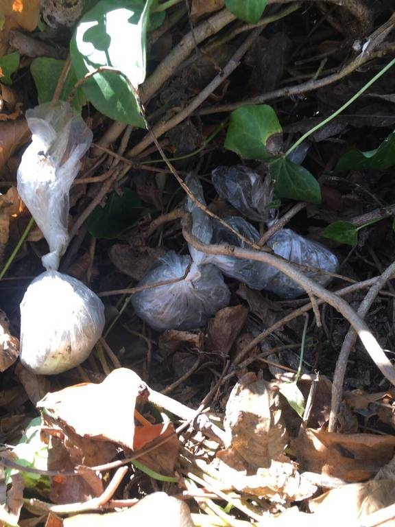 Άρτα: Εγκληματική οργάνωση διακινούσε χασίς και κοκαΐνη - Κατασχέθηκαν χρήματα, ΙΧ κι ένα σκάφος!