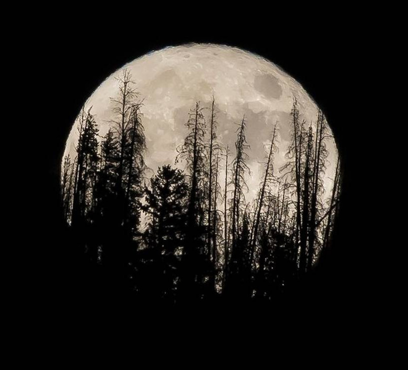 Η Κίνα θα πατήσει πρώτη στη «σκοτεινή» πλευρά του φεγγαριού