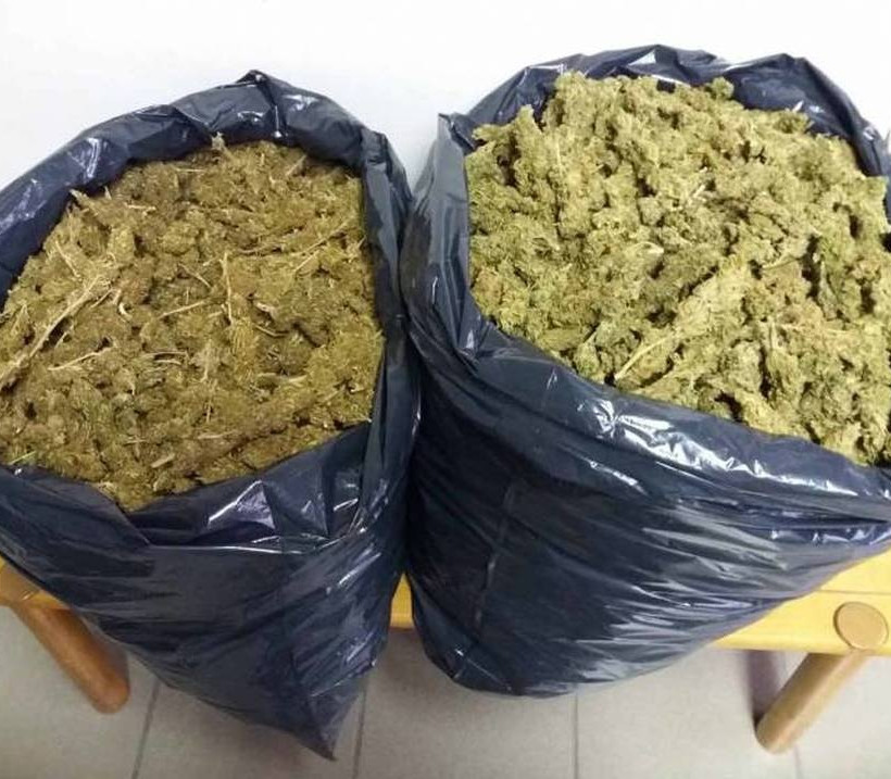 Αρκαδία: Πάνω από 10 κιλά χασίς βρέθηκαν σε θαμνώδη περιοχή της Κυνουρίας (pics)