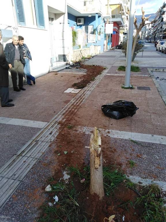 Καλάματα: Αυτοκίνητο έκοψε δέντρο και «καρφώθηκε» σε σπίτι  