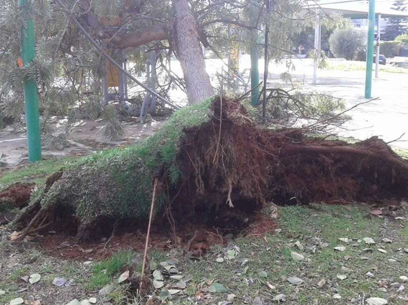 Καιρός: Έτσι χτυπά ο «Ραφαήλ» την Αθήνα - Το πέρασμα της κακοκαιρίας μέσα από εικόνες (pics)