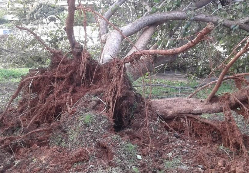Καιρός: Έτσι χτυπά ο «Ραφαήλ» την Αθήνα - Το πέρασμα της κακοκαιρίας μέσα από εικόνες (pics)