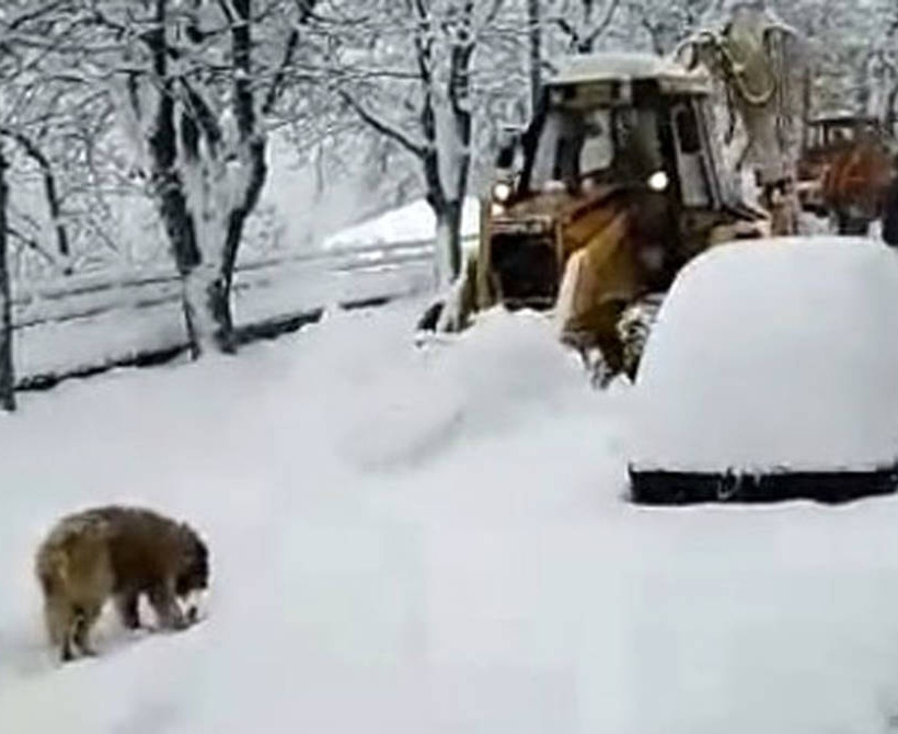 Καιρός: Σε επιφυλακή η Φθιώτιδα - Πολλά χωριά είναι αποκλεισμένα από το χιόνι (pics+vid)
