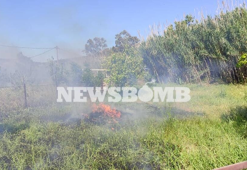 Φωτιά στην παραλία Τραγάνας