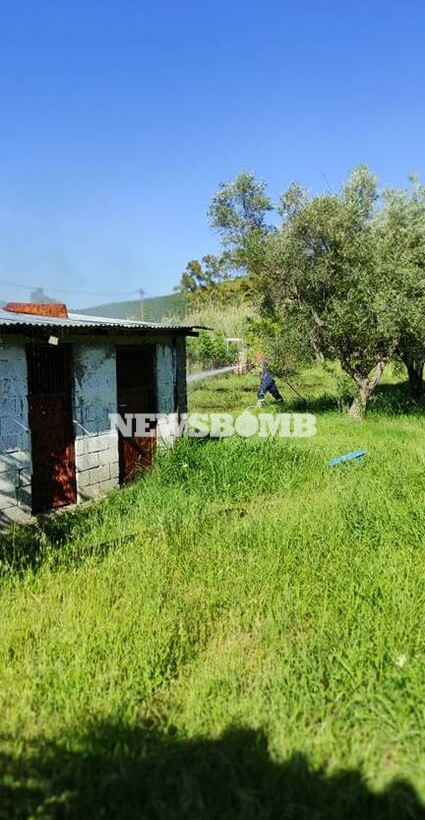 Φωτιά στην παραλία Τραγάνας