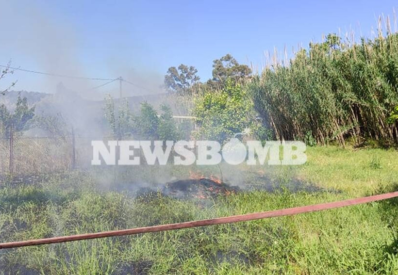 Φωτιά στην παραλία Τραγάνας