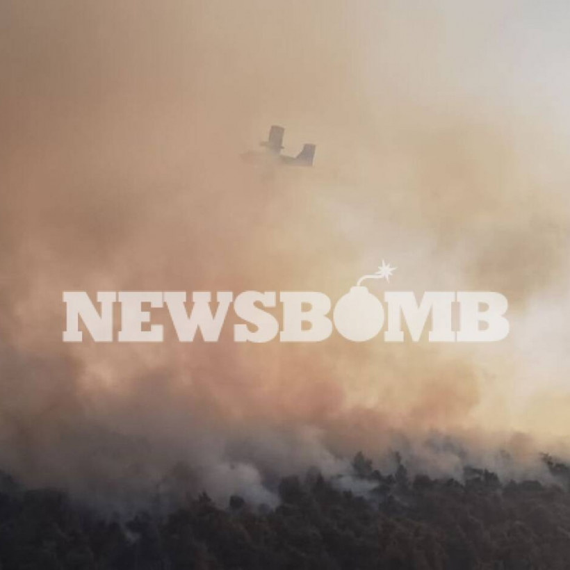 Φωτιά στα Βίλια 17/8