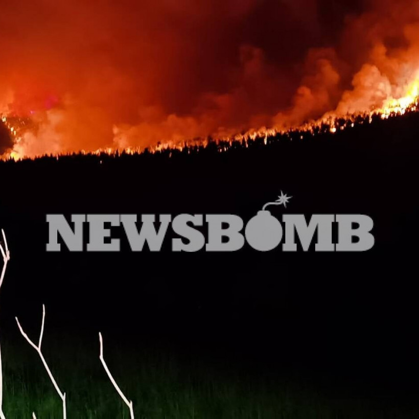 Φωτιά Βίλια