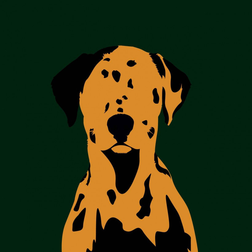 Τα φοβερά illustrations της Σοφίας Ντέρου