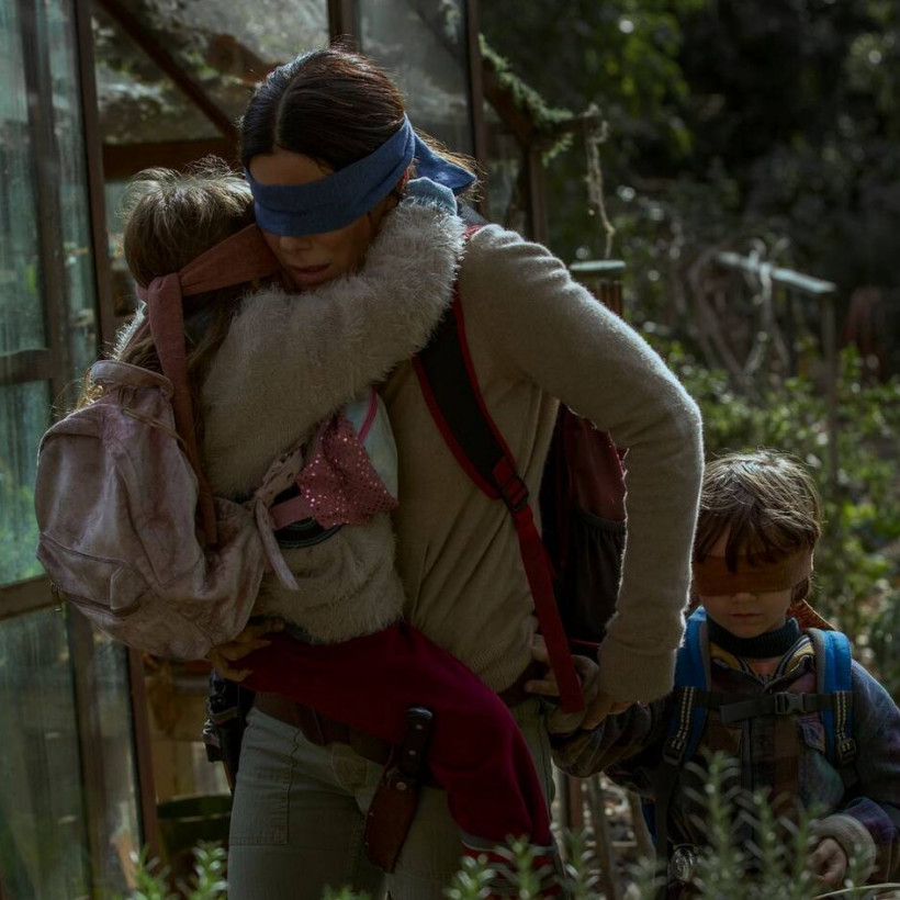 2. Bird Box - Netflix