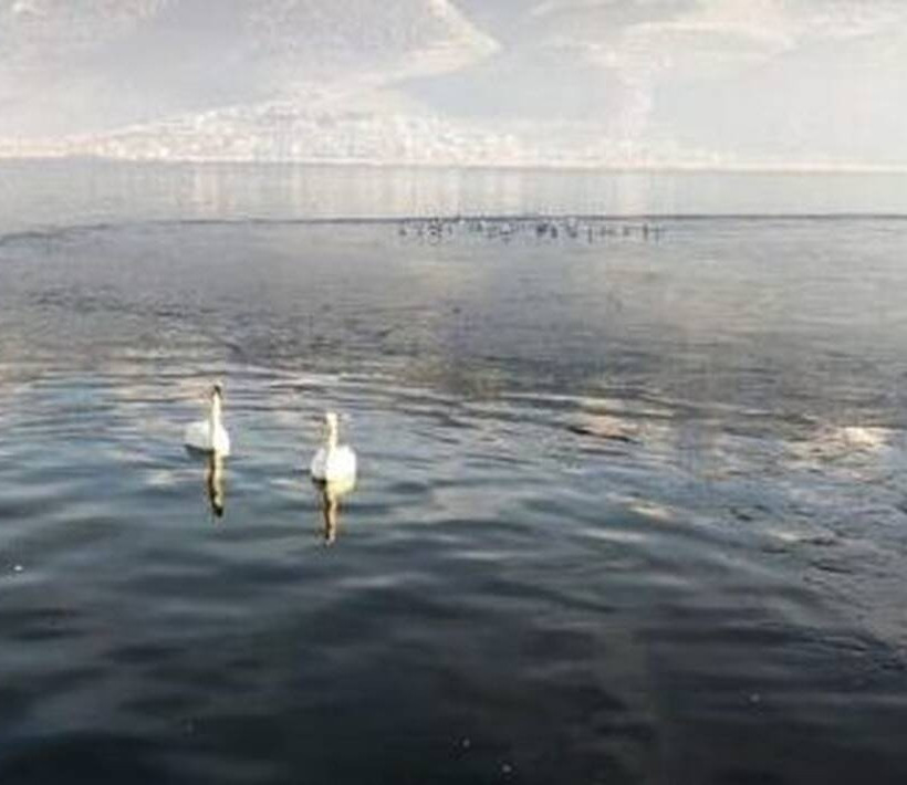 ιωάννινα παμβώτιδα