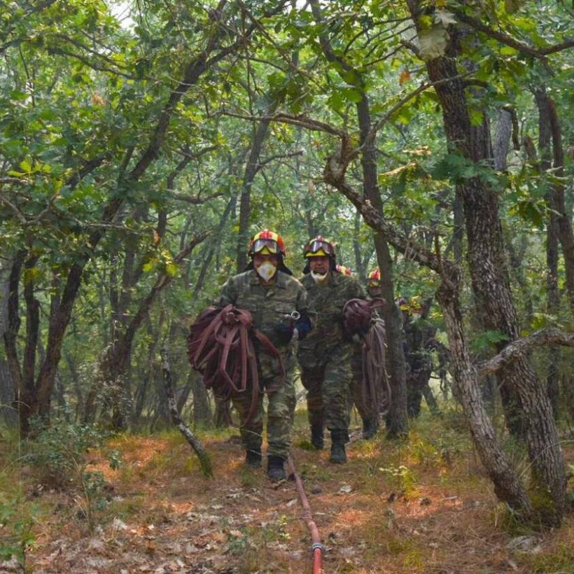 φωτιά δαδιά