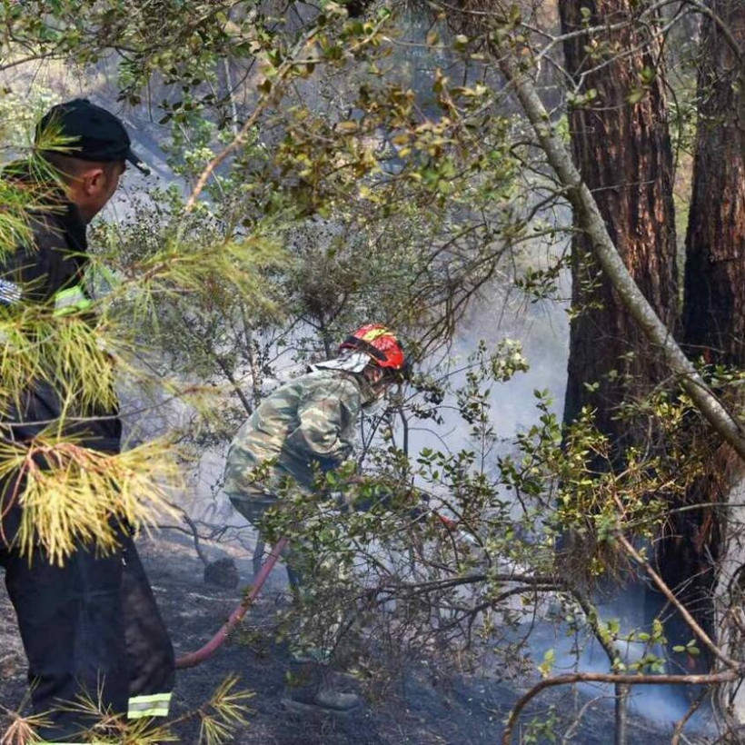 φωτιά δαδιά