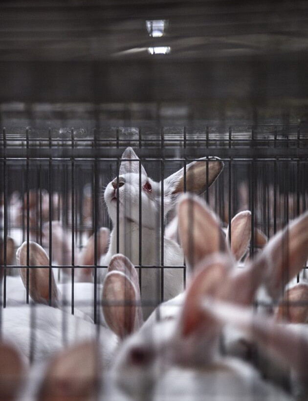 Τα φωτογραφικά ντοκουμέντα της έκθεσης «HIDDEN