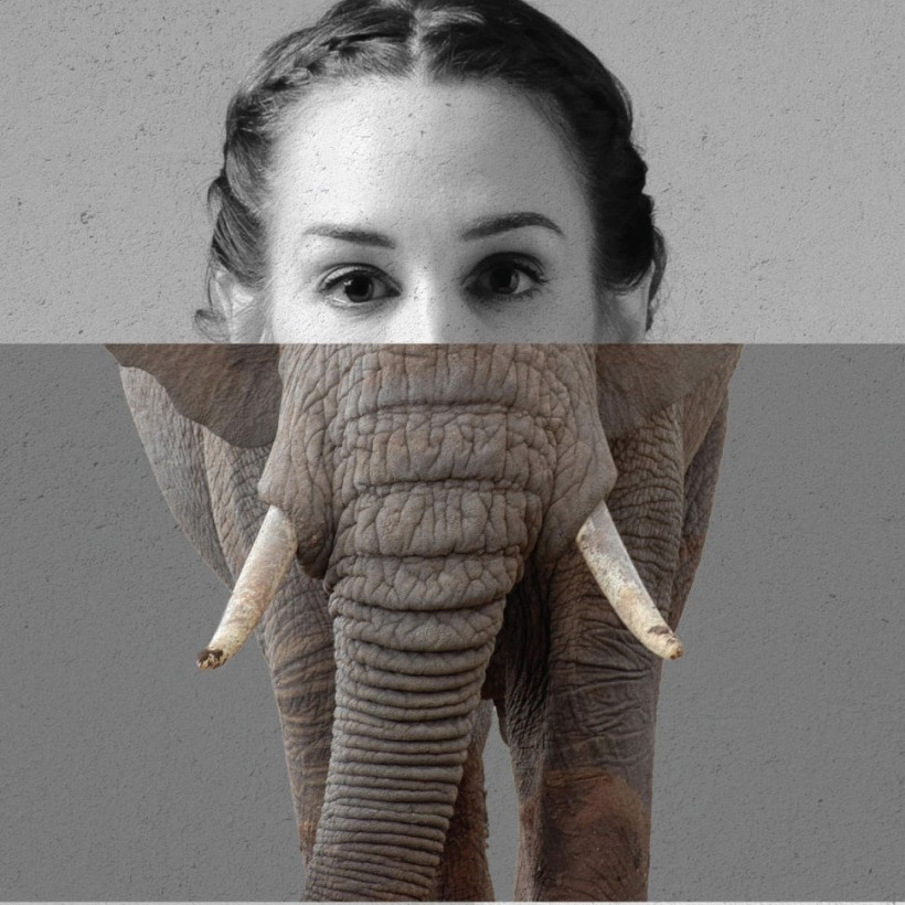 poster_Elephant_Man_33X48_draf_5