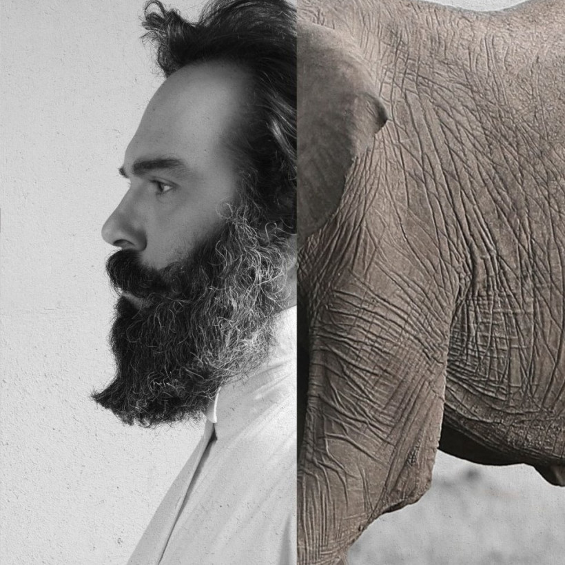 poster_Elephant_Man_33X48_draf_5